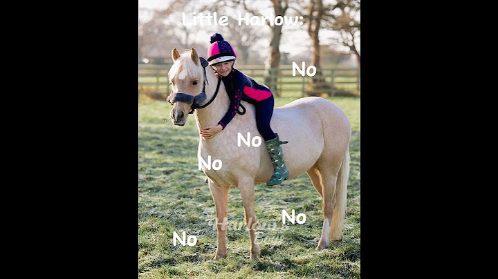 When Harlow has to retire Popcorn