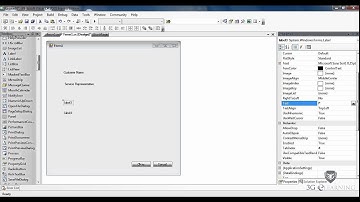 Windows, Toolbox & Properties of Visual C