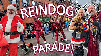Annual REINDOG Parade 2023 in Cincinnati’s Hip Mt. Adams Neighborhood - My FAVORITE Holiday Event!