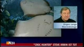 &quot;croc hunter&quot; Steve Irwin ist tot