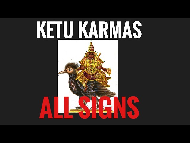 KETU KARMAS IN ALL SIGNS! (South Node in All Signs) class=