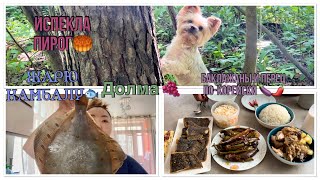 картинка: Готовлю долму|Полезные покупки с Wildberries🛍️|Корейский ужин🥢