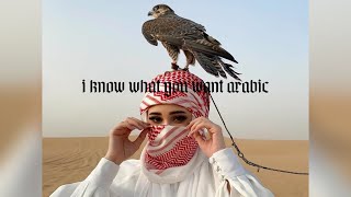 I Know What You Want X Arabic ريمكس - شيرين - صبرى قليل Remix (TIKTOK VERSION) Resimi