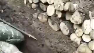 Şəhidlərin Qisasını Alan Əsgərimiz Allah Səni Qorusun Belə Igidləri Tanıyaq