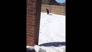 Amarillo Blizzard 2013