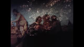 Venus nach Giorgione (1981)