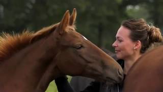 Paardengriep (Equine Influenza Virus)