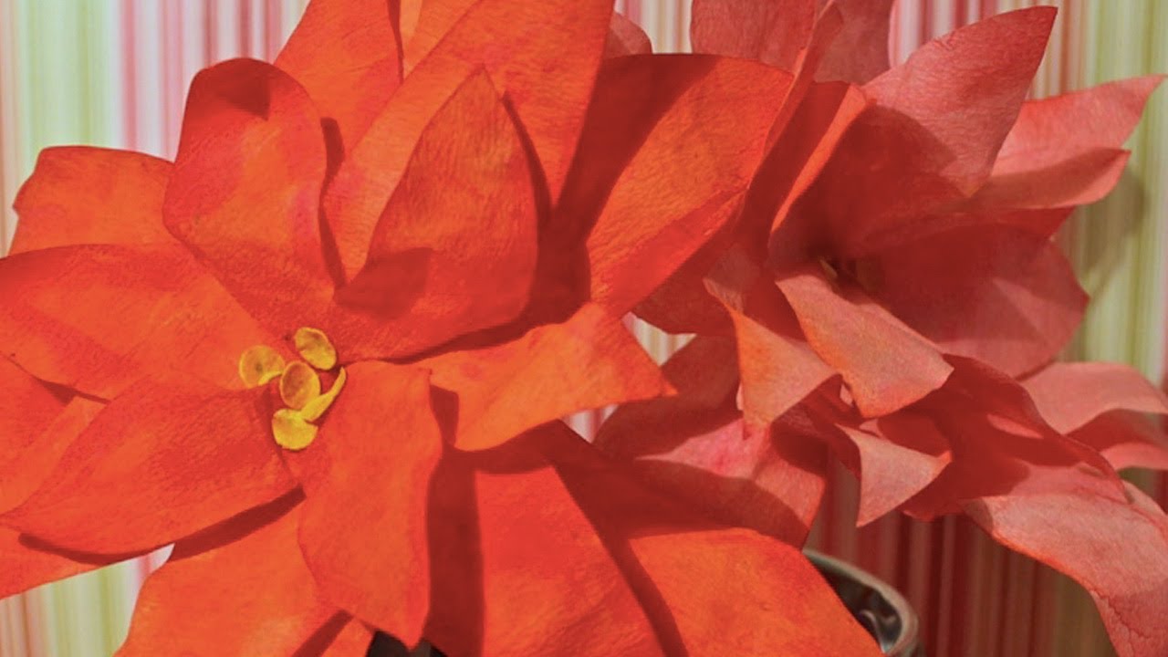 fine art обработка DIY Realistic Holiday Coffee Filter Poinsettias