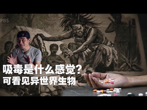 我第一次碰毒品，今天我们聊吸毒！！！都市传说