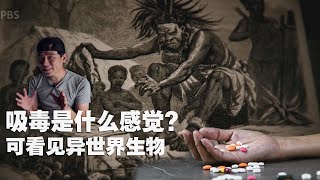 我第一次碰毒品，今天我们聊吸毒！！！都市传说