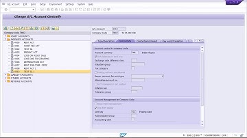 SAP Interview Question & Answer_1 (Call @ +91 7416797921 for SAP FICO Online training)