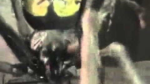 HAUNTEDPROPS.COM Mounted Spider Prop