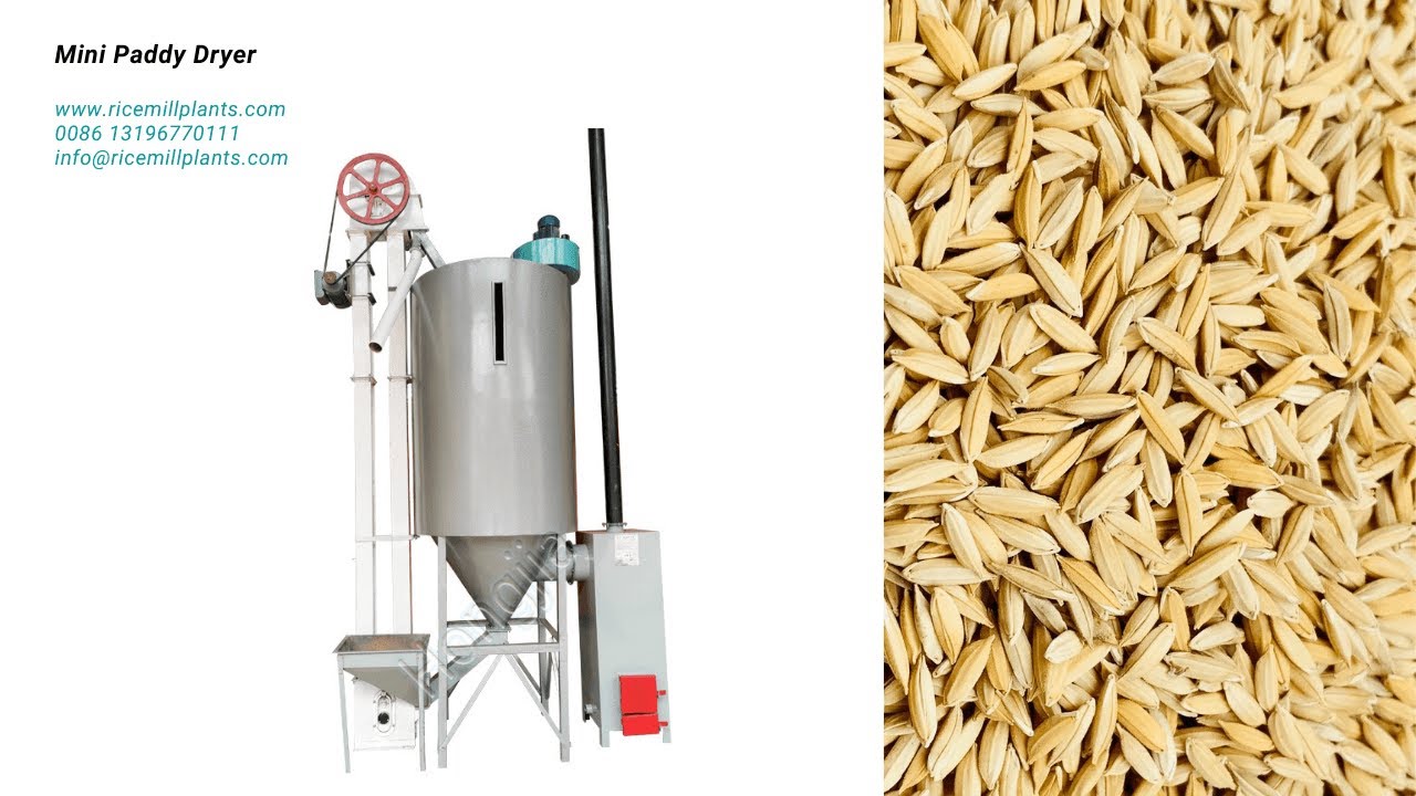 Mini Grain Dryer Machine for Rice Mill Factrory - Co-Grain Rice Mill 
