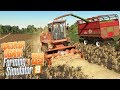 Дон 680 Делаем сечку Сколько будет с 50-го поля? - ч89 Farming Simulator 19