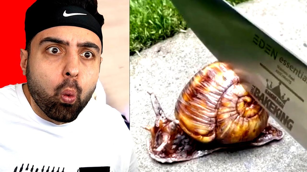 PASTA MI ? SAHTE Mİ ? BUNLAR İNANILMAZ 3 YouTube