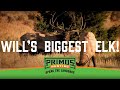 Will Primos' Biggest Elk! Monster Elk Hunting In Montana - Primos Truth About Hunting Season 18