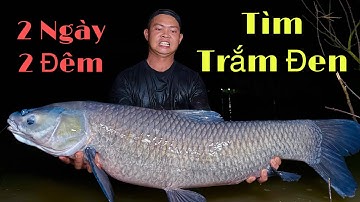 Hành Trình 2 Ngày 2 Đêm Săn Trắm Đen Khủng ( full ) 