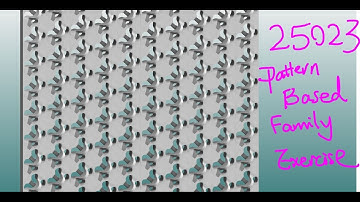 25023 - Pattern Based Family Exercise