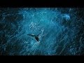 Planet Ocean [DE] - der Film (Yann Arthus-Bertrand & Michael Pitiot)