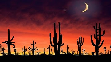 سورة الكهف بصوت القارئ توفيق الصايغ