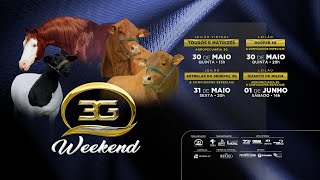 PECUÁRIA EM FOCO - 3G WEEKEND 2024