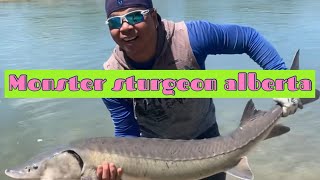 Oldman River Sturgeon Fishing