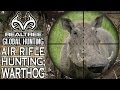 Benjamin Bulldog Big Bore Air Rifle Hunting in South Africa: Warthog