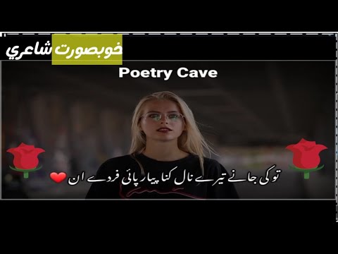 Ek Tu Nae Bhulda | Sahibzada Waqarb| Poetry | Love Status | Heart Touching | Punjabi Status❤