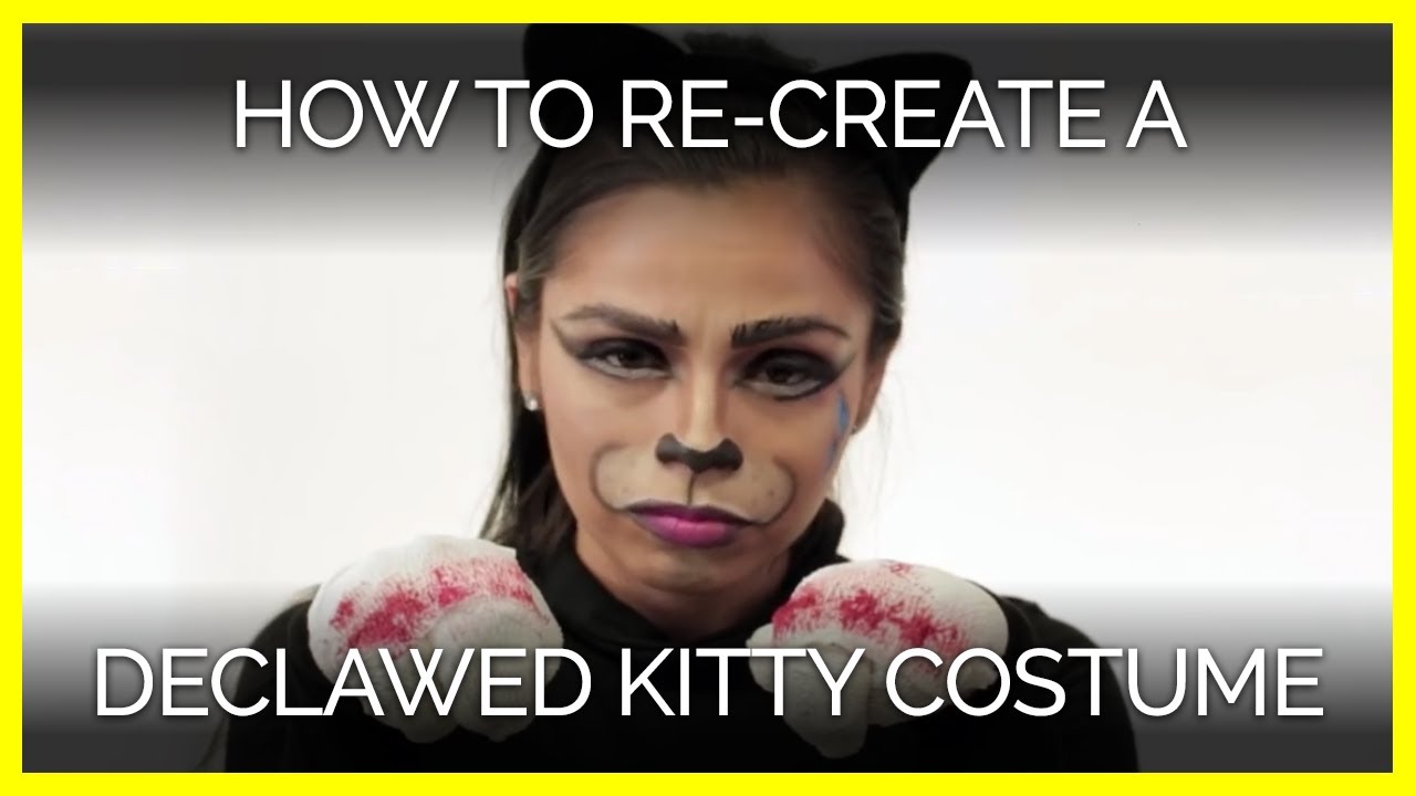 Strut for Cats in This Declawed Kitty Costume