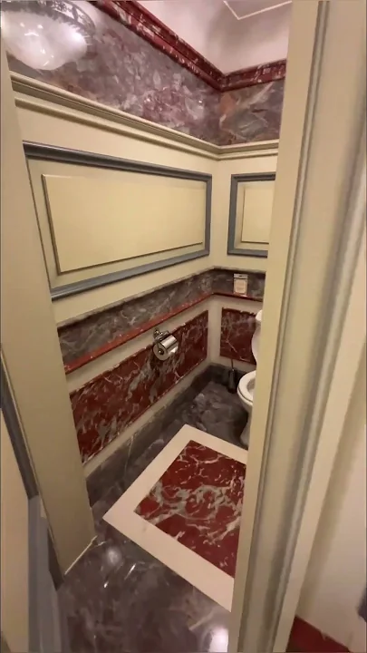 The Cleanest and Fanciest TOILET I Ever Saw in Russia #toilet #russia