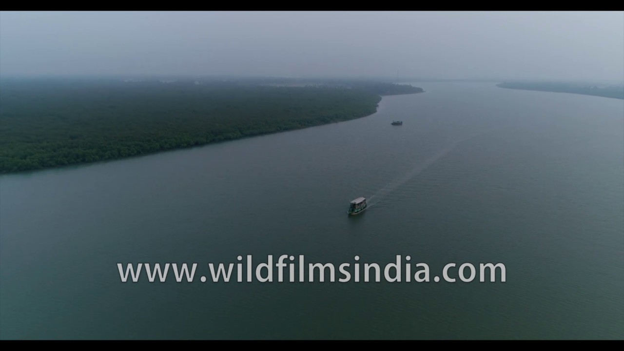 Which Is The Largest Delta Made By The Ganga And The Brahmaputra River?