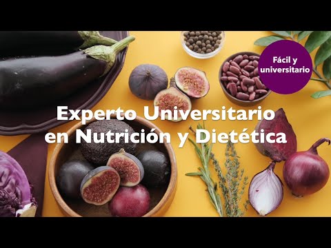 Experto en Nutrición