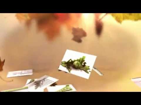 Update New eToro Openbook