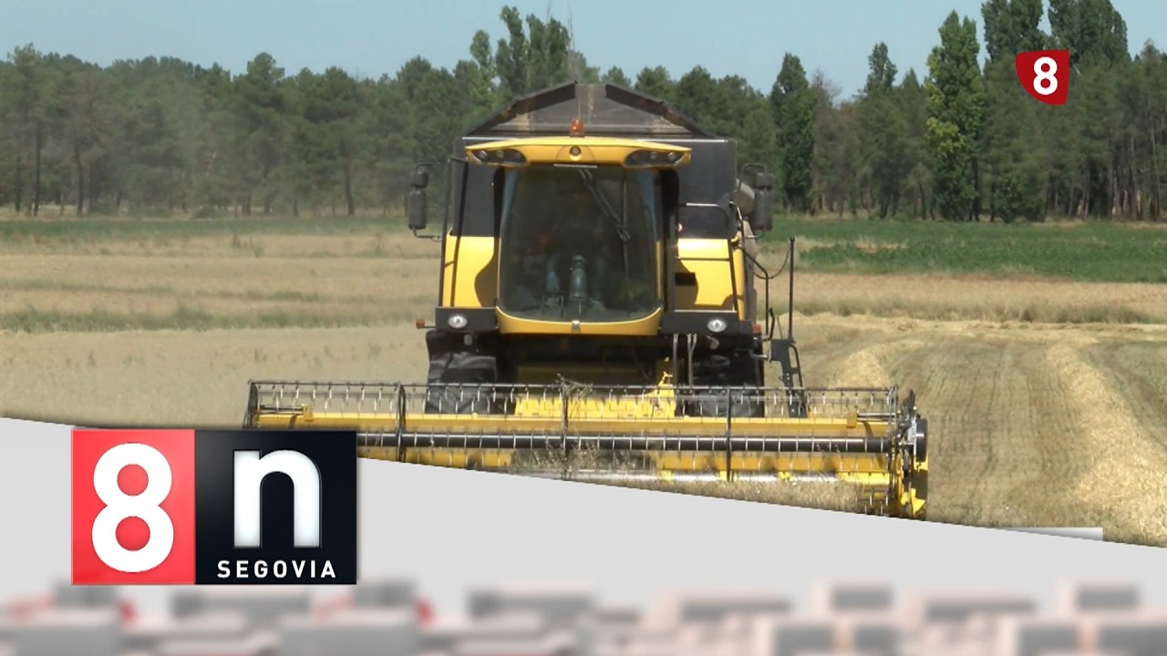 Noticias La 8 Segovia | Edición 14:00 h | Viernes15-05-2026