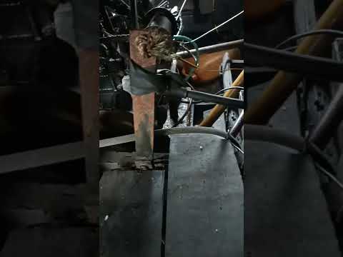 Video ghe te quá rẻ ae ơi bán giá bèo ghe bao ngon giá 50 ai... - youtube
