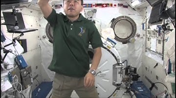 Learning with Astronauts "The Structure of the Human Body"