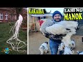 10 PINAKA kakaiba LAHI Ng MANOK Sa Buong Mundo |  Makamamnghang  Lahi Ng MANOK