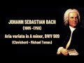 Miniature de la vidéo de la chanson Aria Variata: Aria