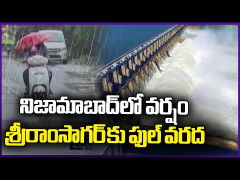 Heavy Rains Lashed In Nizamabad , Huge Flood Inflow Into Sriram Sagar Project | V6 News - V6NEWSTELUGU