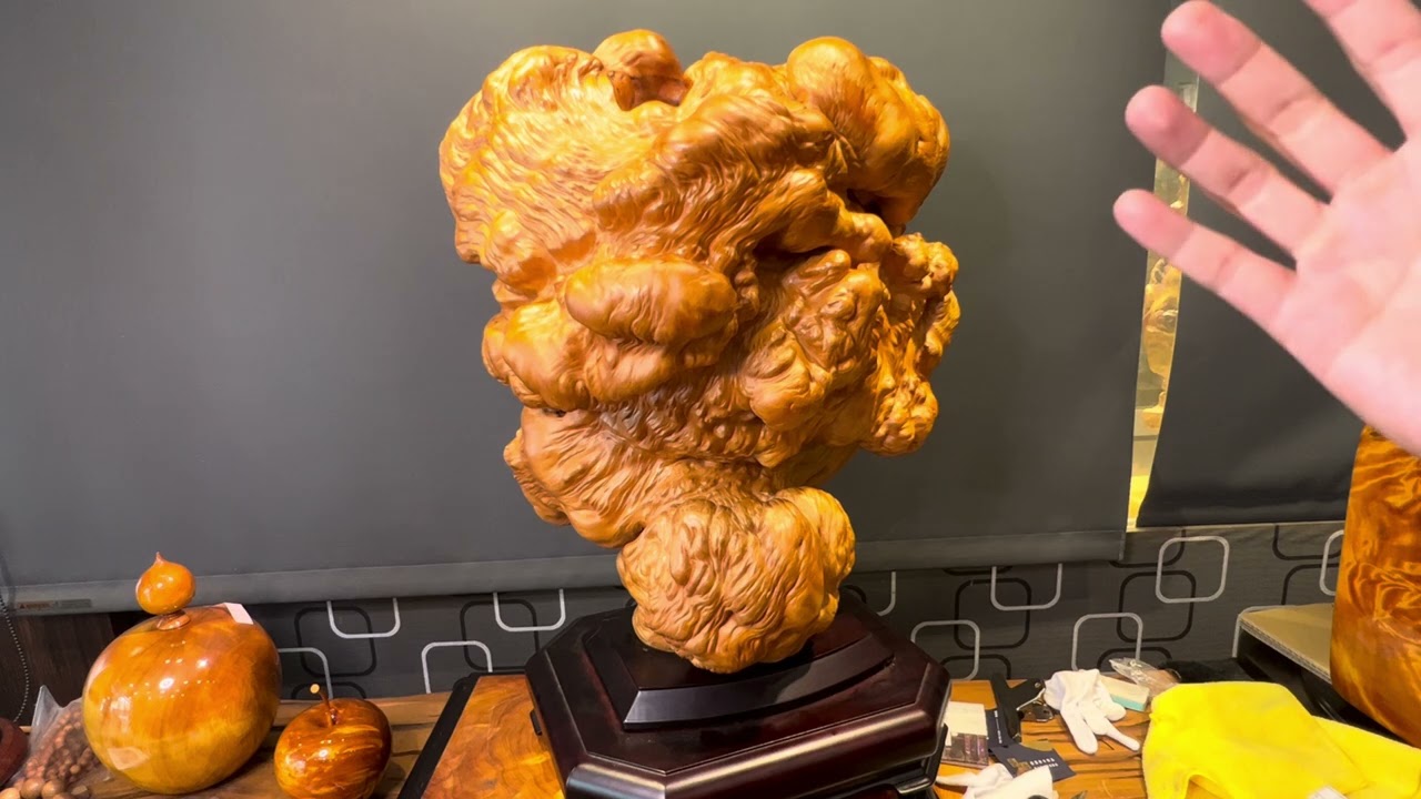 NO581 藏家釋出系列 黃檜土豆瘤（鈦金皮衣）