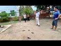 funny petanque fighting _ petank for fun #sports #nature #travel #farming #diy