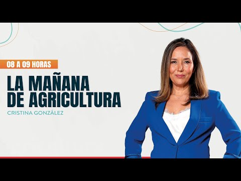 La Mañana de