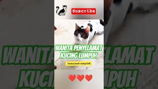 Malaikat penolong didunia nyata, mksh orang baik😭  #cat #storytelling #shortsfeed #kucing