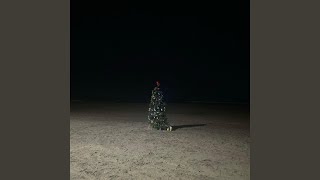 dear losers - andre is gone & sad cats