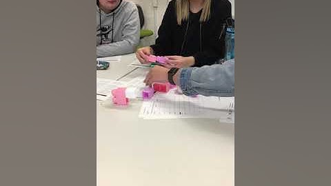 Task 1b Micro-teaching Reflective Analysis Mini Lesson Video