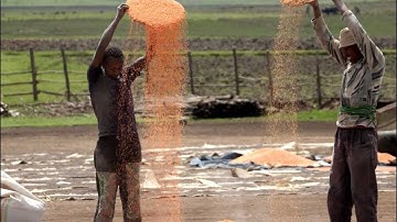 Agricultural biodiversity and climate change