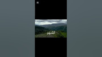 سورة الحشر 🎧 | #القرآن_الكريم #المنشاوي