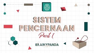 Digestive System Part 1 | Basic Biomedical Science | Brainy Panda