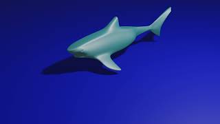 Membuat ikan hiu di BLENDER screenshot 2