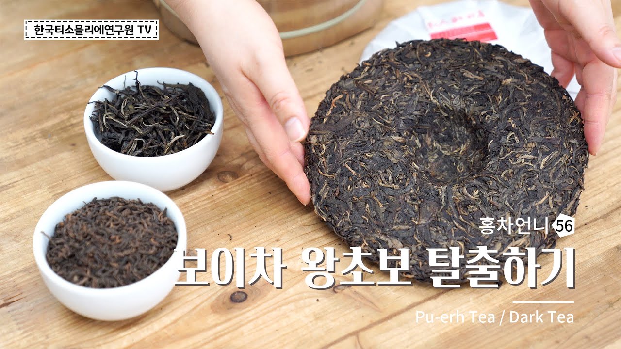 [Sub] 보이차 왕초보 탈출하기 / Drink Pu-erh Tea like a pro! / プーアル茶初心者脱出! #홍차언니 #한국티소믈리에연구원